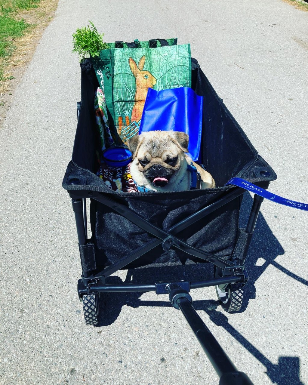 09.08.2024 – Fifth&nbsp;Thoughts