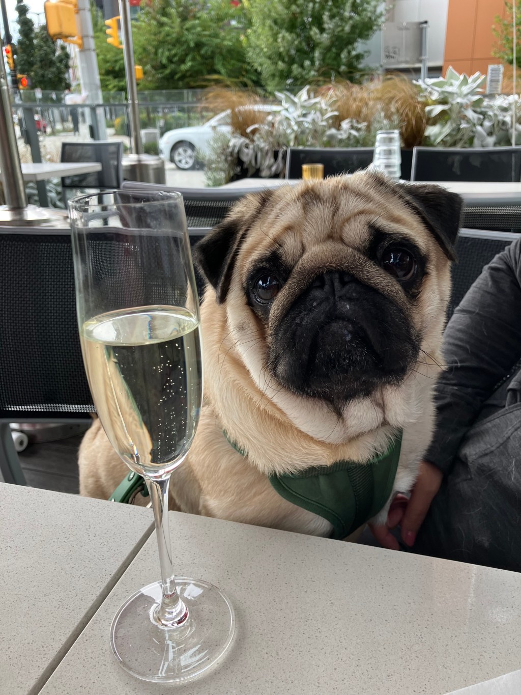 05.03.2025 – Fourteenth&nbsp;Thoughts