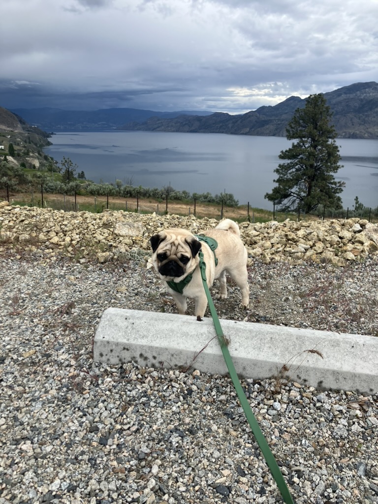 06.08.2025 – Sixteenth&nbsp;Thoughts