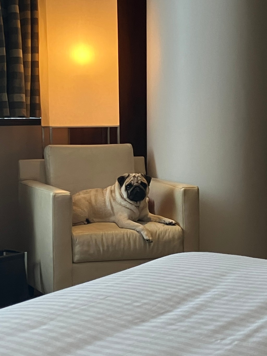 07.20.2025 – Eighteenth&nbsp;Thoughts