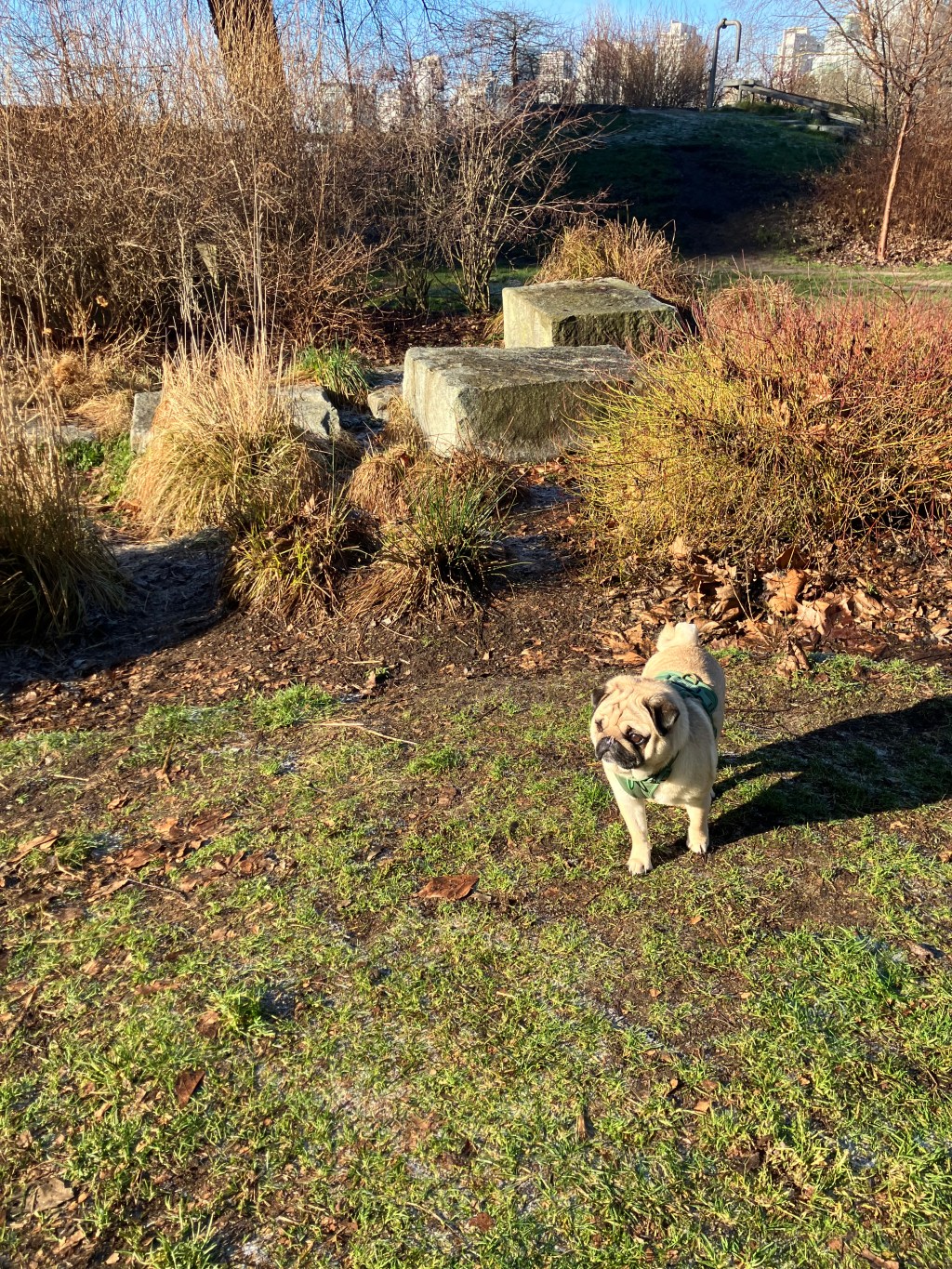 02.14.2026 – Nineteenth Thoughts